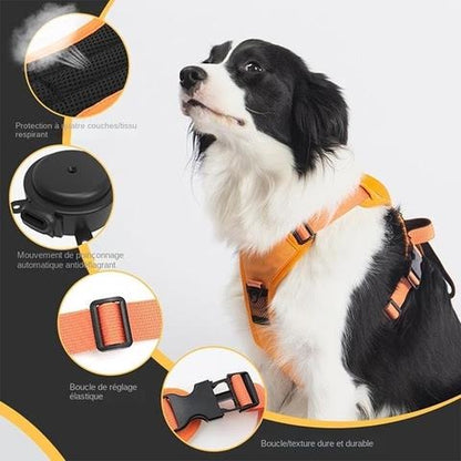 TriFlex Harness